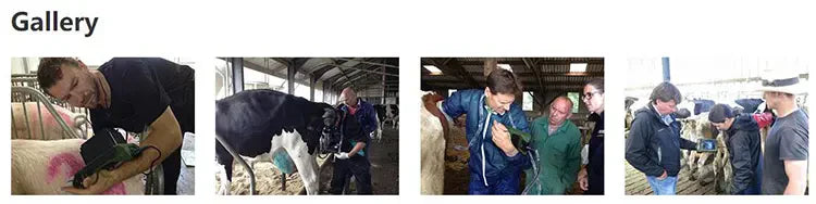 Portable Veterinary Ultrasound Scanner I RKU-10 I B Mode