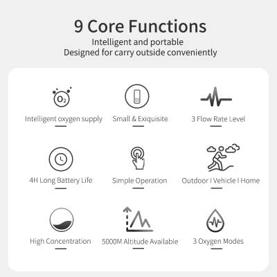 1L continuous Flow/2L-3L Pulse Flow Portable Medical Home